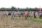 Girls under-13s Start Fitness North Eastern Harriers League, Wrekenton, Gateshead. Photo:  David T. Hewitson/Sports for All Pics